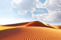 Liwa Desert Safari From Abu Dhabi