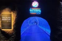 The National Aquarium Abu Dhabi