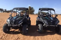 Dune Buggy Tour in Abu Dhabi