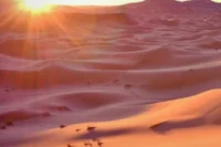 Sunrise Desert Safari from Abu Dhabi