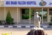 Abu Dhabi Falcon Hospital Tour