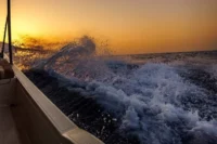 Trophy Fishing & Excursions: Island Camping Adventure Abu Dhabi